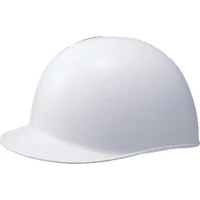 TANIZAWA Helmet(with Liner for Shock Absorption) ST 164-EZ