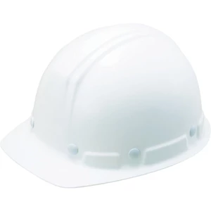Tanizawa Ultra Lightweight Helmet (Ultralight FRP Front Visor Type) ST#159-EPZ (EPA)